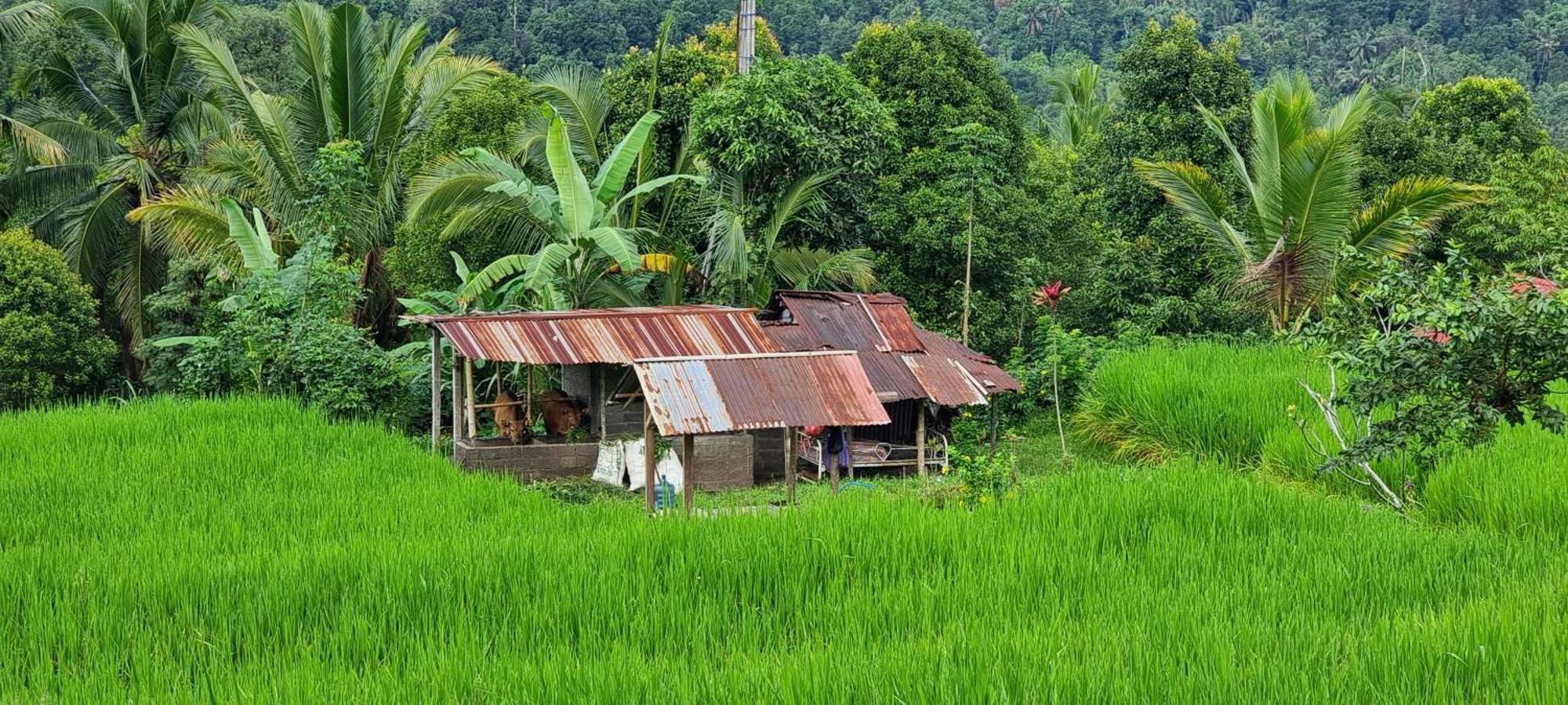 Utopiaku - Munduk Highlands Villa Ngoại thất bức ảnh