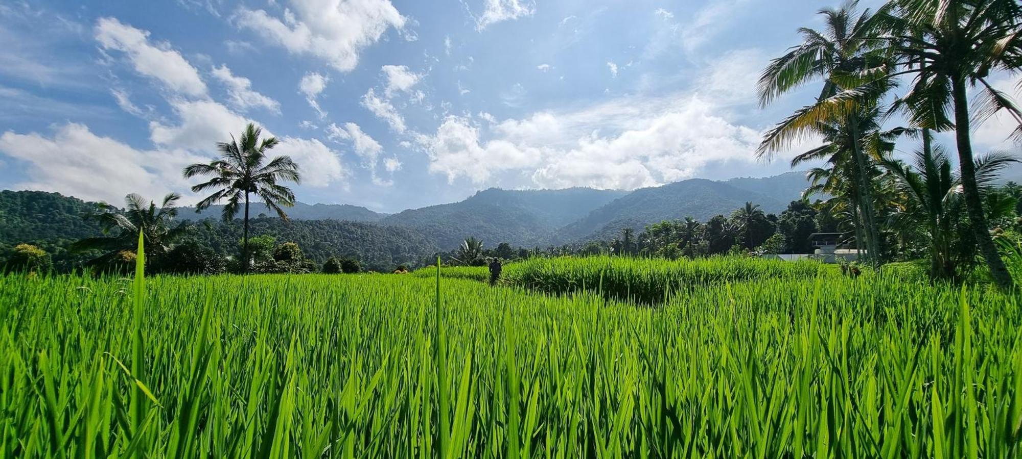 Utopiaku - Munduk Highlands Villa Ngoại thất bức ảnh