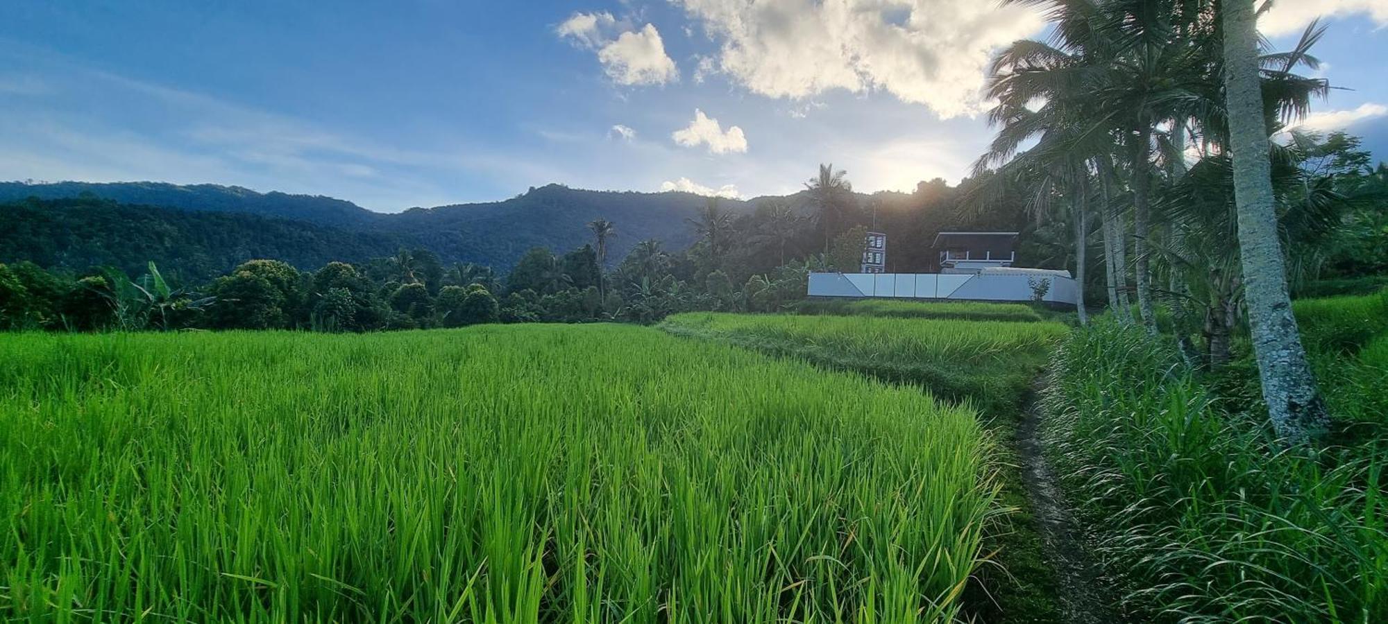 Utopiaku - Munduk Highlands Villa Ngoại thất bức ảnh