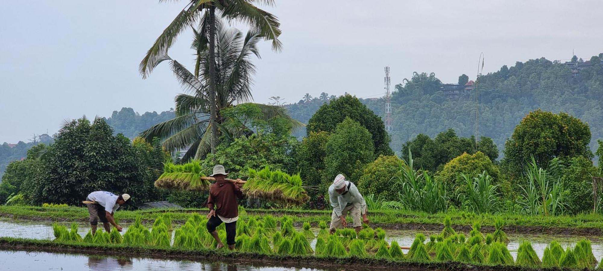 Utopiaku - Munduk Highlands Villa Ngoại thất bức ảnh