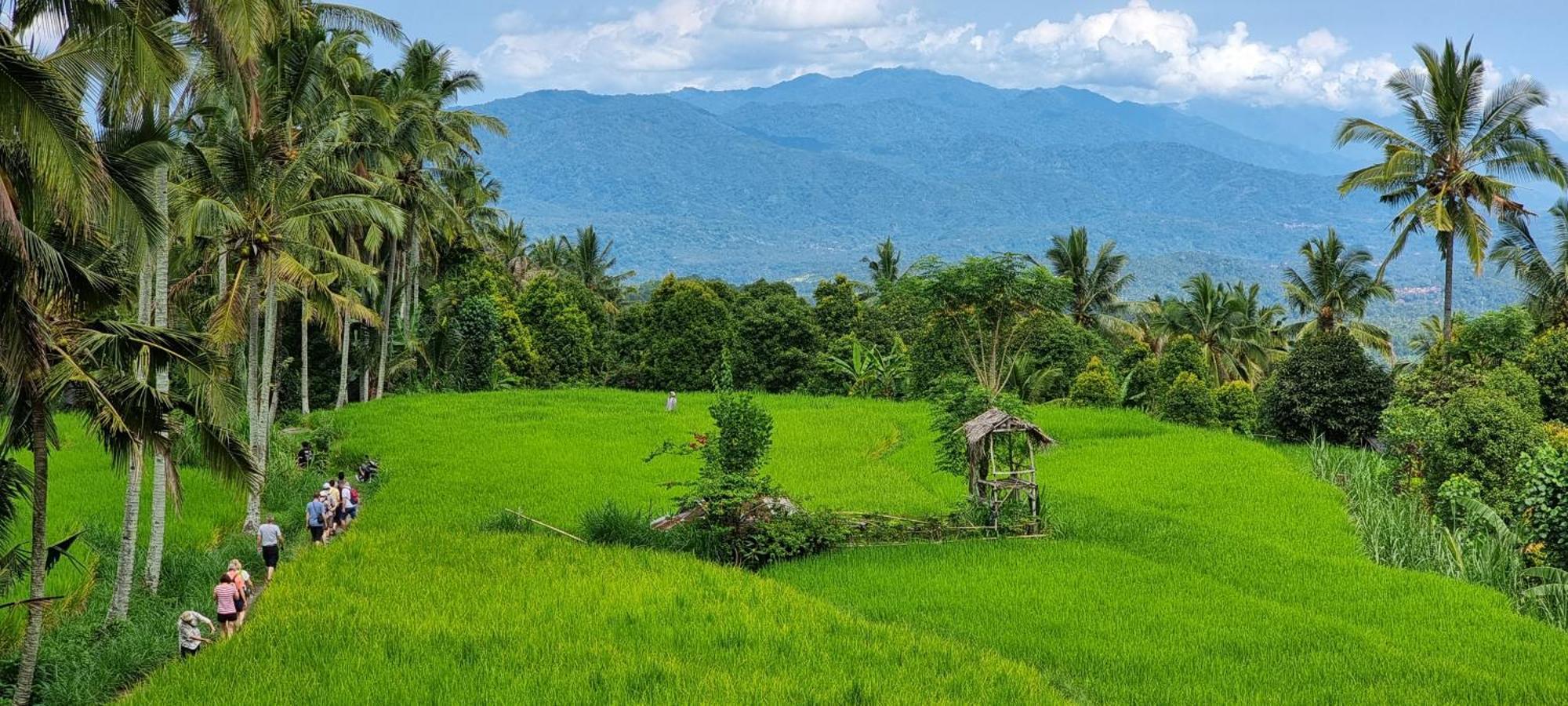 Utopiaku - Munduk Highlands Villa Ngoại thất bức ảnh