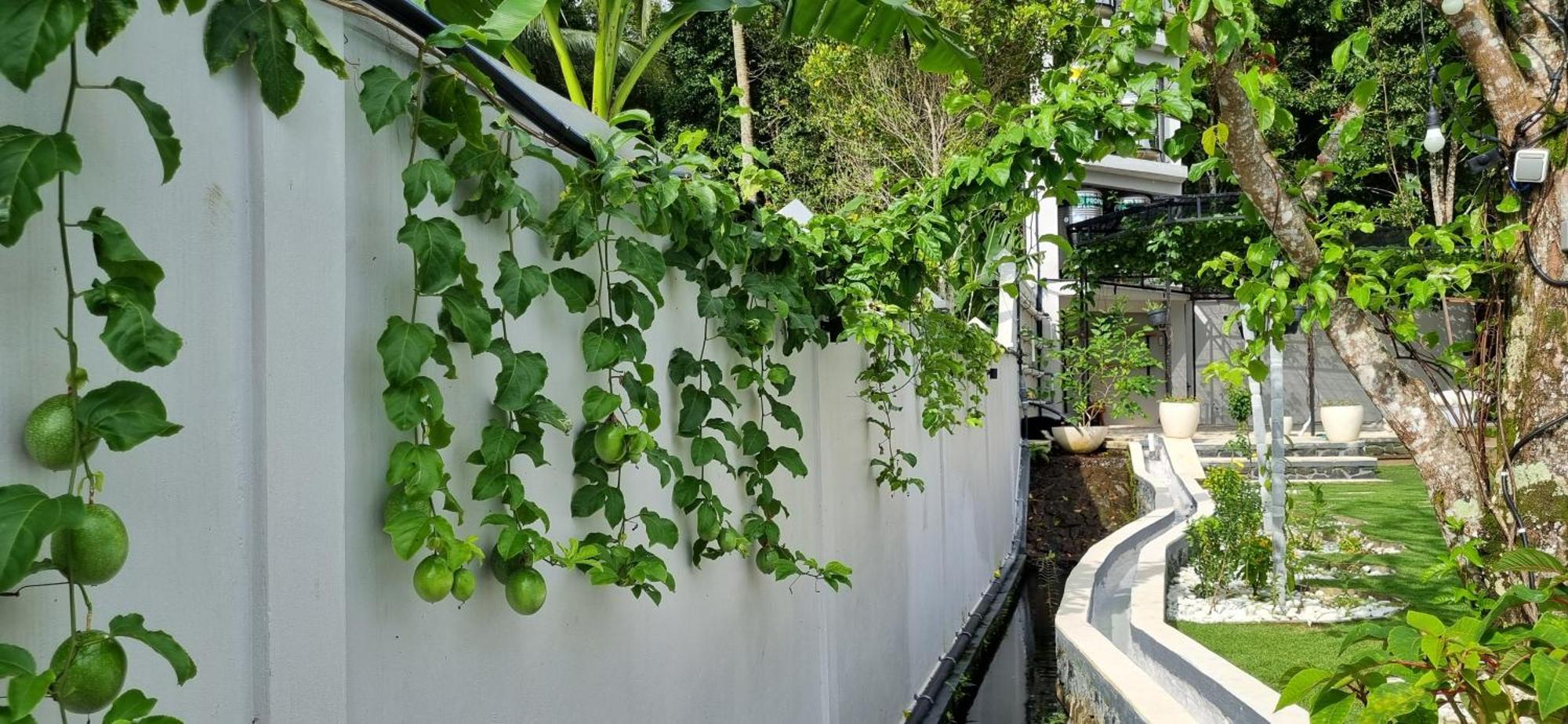 Utopiaku - Munduk Highlands Villa Ngoại thất bức ảnh
