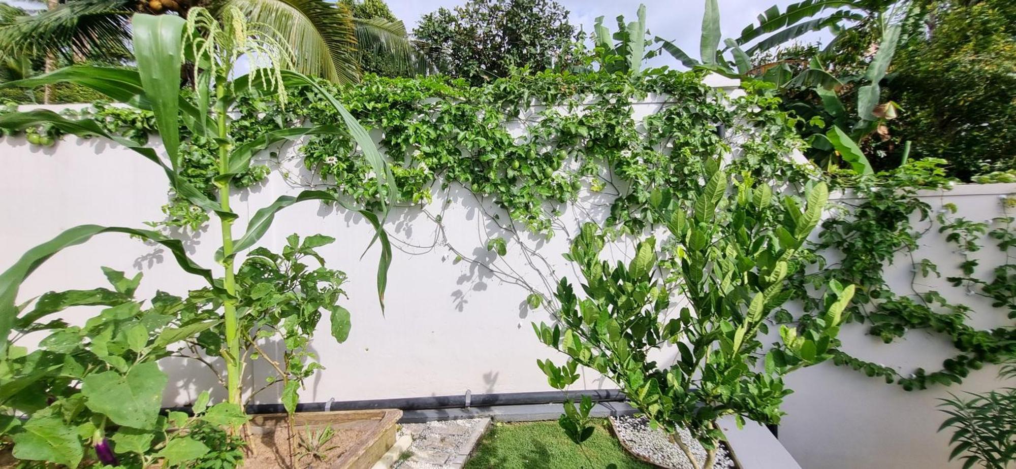 Utopiaku - Munduk Highlands Villa Ngoại thất bức ảnh